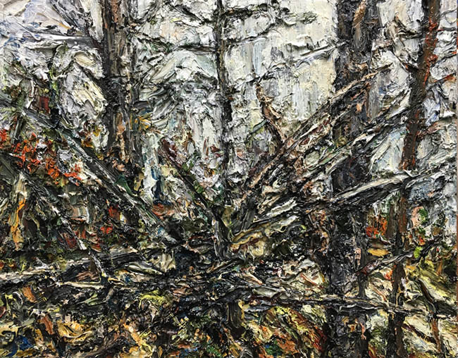 <span>Woodlands (Acadia - Mt Desert)</span><i>→</i>