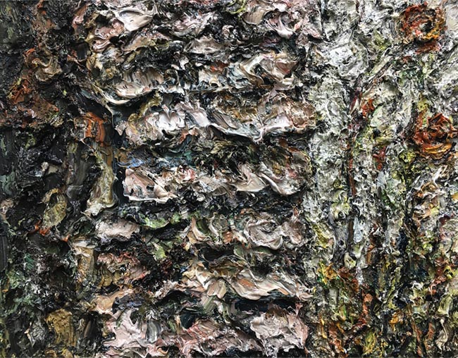 <span>Fungi (Elliottsvelle, ME)</span><i>→</i>