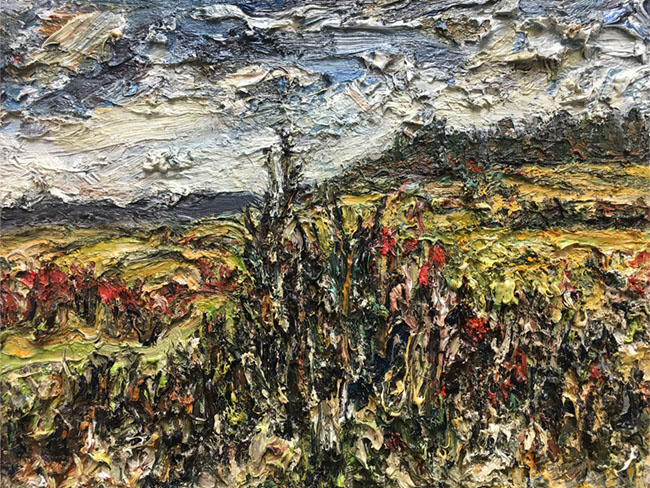 <span>Looking North</span><i>→</i>