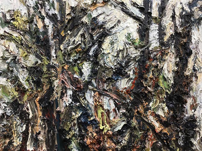 <span>Woodlands (Looking Into The Middle Distance)</span><i>→</i>