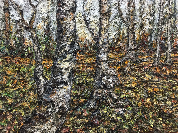 <span>Acadian Birches</span><i>→</i>