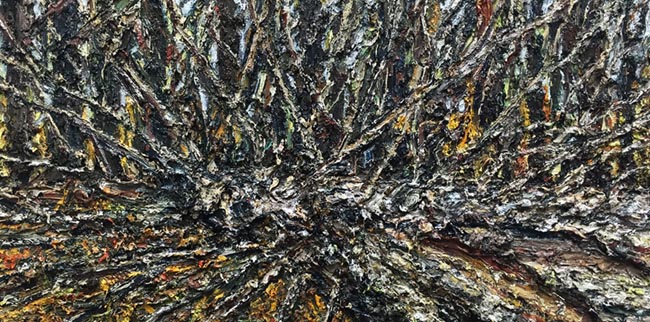 <span>Downed Tree (Acadia)</span><i>→</i>